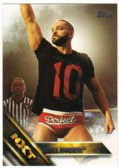 Tye Dillinger Wrestling Cards 2016 Topps WWE Then Now Forever NXT Prospects Prices