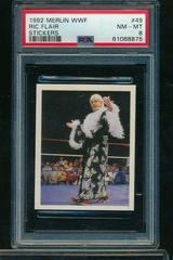 Ric Flair #49 Wrestling Cards 1992 Merlin WWF Stickers Prices