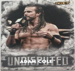 Adam Cole #46 Wrestling Cards 2018 Topps WWE Undisputed Prices