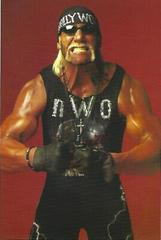 Hollywood Hogan #31 Wrestling Cards 1998 Panini WCW/nWo Photocards Prices