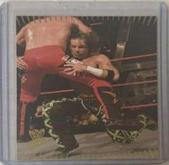 Shawn Michaels Wrestling Cards 2007 Topps Action WWE Prices