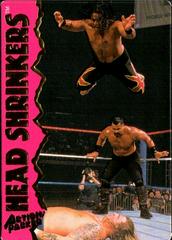 The Headshrinkers Wrestling Cards 1995 Action Packed WWF Prices