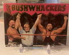 The Bushwhackers Wrestling Cards 1995 Action Packed WWF Prices