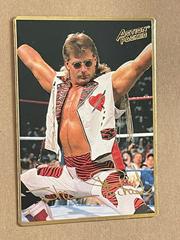 Shawn Michaels Wrestling Cards 1994 Action Packed WWF Prices