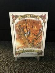 Red Maple #AA-5 Baseball Cards 2021 Topps Allen & Ginter Arboreal Appreciation Prices