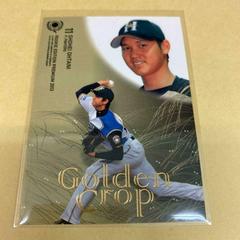 Shohei Ohtani Baseball Cards 2013 BBM Rookie Edition Premium Prices