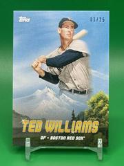 Ted Williams [Indian Yellow] #PK-10 Baseball Cards 2023 Topps X Bob Ross The Joy Of Peaks of Power Prices