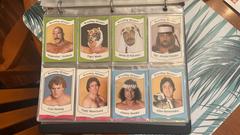 Complete Set Wrestling Cards 1983 Wrestling All Stars Prices