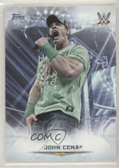 John Cena Wrestling Cards 2020 Topps WWE Undisputed Prices