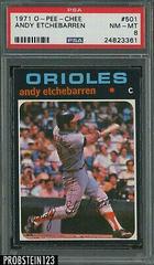 Andy Etchebarren #501 Baseball Cards 1971 O Pee Chee Prices