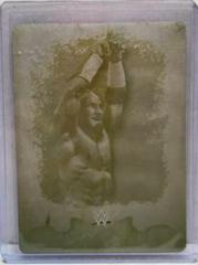 Neville Wrestling Cards 2016 Topps WWE Undisputed Prices