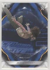 Jeff Hardy [Blue] Wrestling Cards 2019 Topps WWE Undisputed Prices
