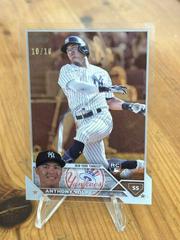 Anthony Volpe [Clear] Baseball Cards 2023 Topps Prices