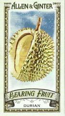 Durian Baseball Cards 2022 Topps Allen & Ginter Mini Bearing Fruit Prices