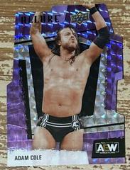 Adam Cole [Purple Diamond] #1 Wrestling Cards 2022 Upper Deck Allure AEW Prices