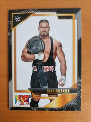 Bron Breakker [Silver] Wrestling Cards 2022 Panini NXT WWE NXT Gold Prices