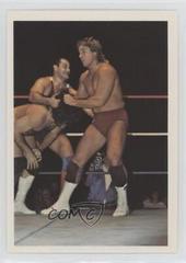 Terry Taylor #140 Wrestling Cards 1988 Wonderama NWA Prices