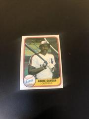 Andre Dawson #145 Baseball Cards 1981 Fleer Prices