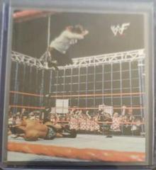 Mankind, Ken Shamrock, The Rock #53 Wrestling Cards 2000 WWF No Mercy Prices