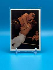 Road Warrior Hawk #159 Wrestling Cards 1988 Wonderama NWA Prices