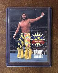 Macho Man Randy Savage Wrestling Cards 1995 Cardz WCW Main Event Prices