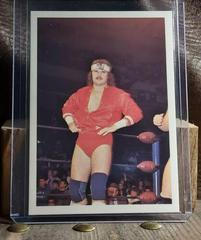 George South Wrestling Cards 1988 Wonderama NWA Prices