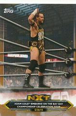 Adam Cole [Bronze] #4 Wrestling Cards 2020 Topps WWE NXT Prices