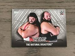 The Natural Disasters [Silver] #UTT-26 Wrestling Cards 2016 Topps WWE Undisputed Tag Teams Prices