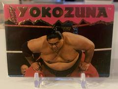 Yokozuna Wrestling Cards 1995 Action Packed WWF Prices