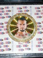 CM Punk #G6 Wrestling Cards 2011 Topps WWE Power Chipz Gold Prices