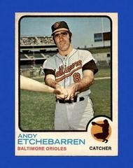 Andy Etchebarren #618 Baseball Cards 1973 O Pee Chee Prices