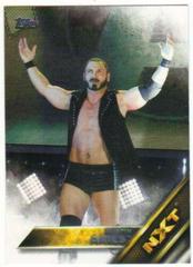 Austin Aries #2 Wrestling Cards 2016 Topps WWE Then Now Forever NXT Prospects Prices