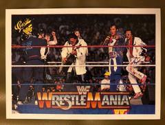Rhythm & Blues Wrestling Cards 1990 Classic WWF The History of Wrestlemania Prices