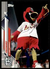 Fredbird Baseball Cards 2020 Topps Opening Day Mascots Prices