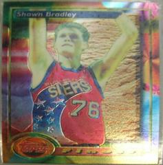 Shawn Bradley Basketball Cards 1993 Finest Prices