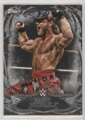 Shawn Michaels [Black] Wrestling Cards 2015 Topps WWE Undisputed Prices
