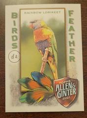 Rainbow Lorikeet Baseball Cards 2021 Topps Allen & Ginter Birds of a Feather Prices