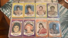 Complete Set Wrestling Cards 1982 Wrestling All Stars Series B Prices
