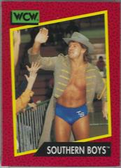 Southern Boys Wrestling Cards 1991 Impel WCW Prices