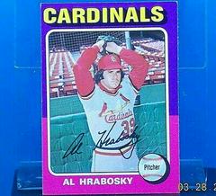 Al Hrabosky #122 Baseball Cards 1975 Topps Prices