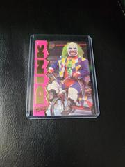 Dink Wrestling Cards 1995 Action Packed WWF Prices