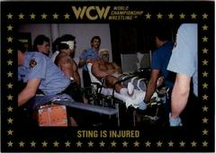 Sting is Injured Wrestling Cards 1991 Championship Marketing WCW Prices