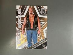 Stone Cold Steve Austin [Gold] #2 Wrestling Cards 2023 Donruss Elite WWE Star Status Prices