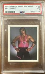 Bret Hart Wrestling Cards 1992 Merlin WWF Stickers Prices