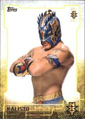 Kalisto Wrestling Cards 2015 Topps WWE NXT Prospects Prices