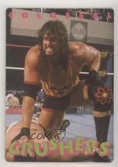 Adam Bomb Wrestling Cards 1994 Action Packed WWF Prices