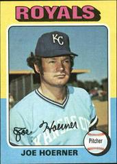 Joe Hoerner Baseball Cards 1975 Topps Mini Prices