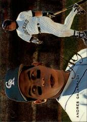 Andres Galarraga #130 Baseball Cards 1995 Flair Prices