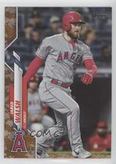 Jared Walsh [Memorial Day Camo] Baseball Cards 2020 Topps Update Prices