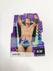 Adam Cole [Autograph Purple Diamond] #1 Wrestling Cards 2022 Upper Deck Allure AEW Prices